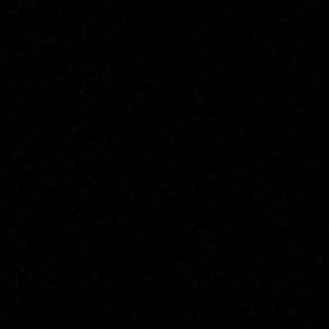 Meet your Posher, Carley